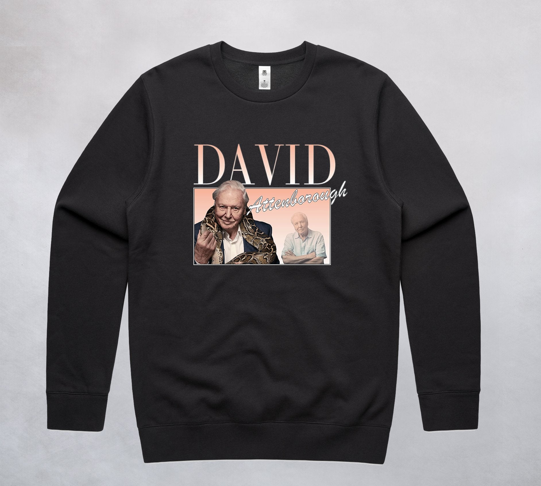 Ogo Merch Jumpers Coal / Extra Small David Attenborough Commemorative Classics Jumper